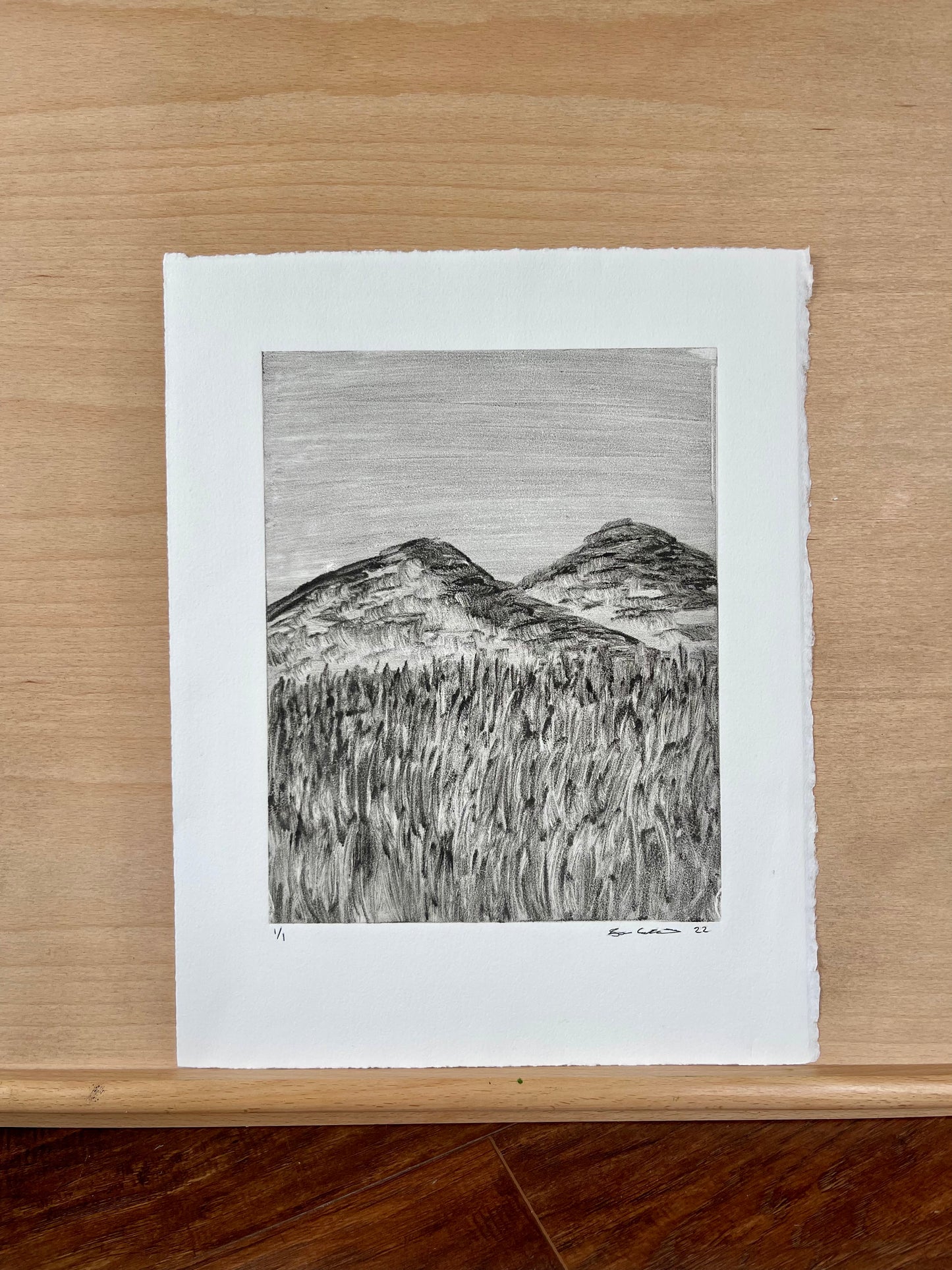 Mountain Field