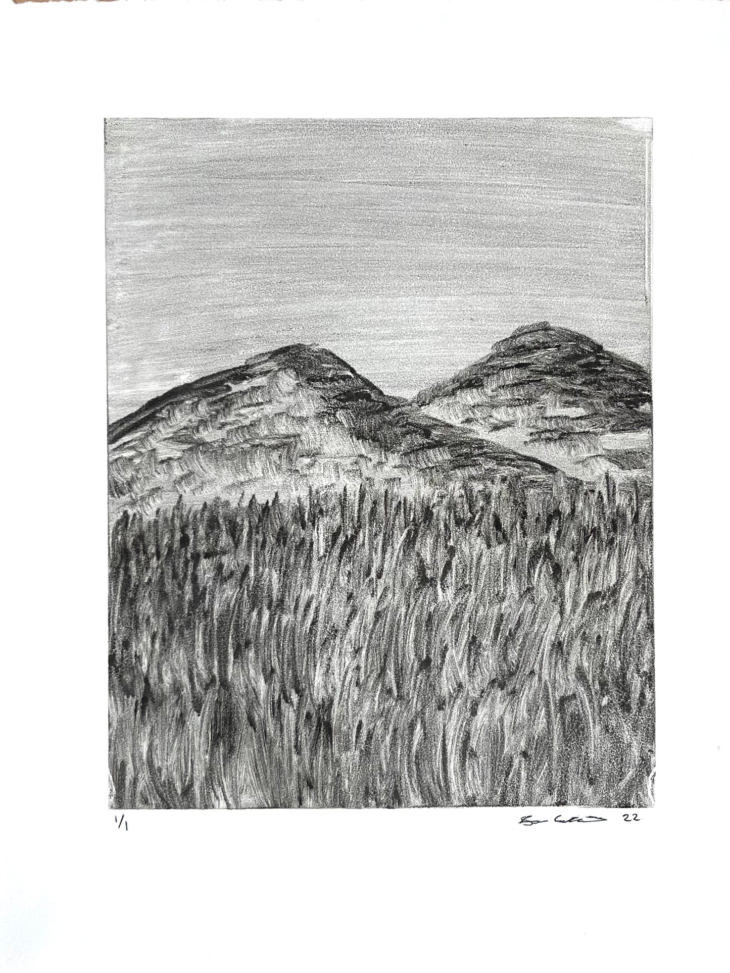 Mountain Field