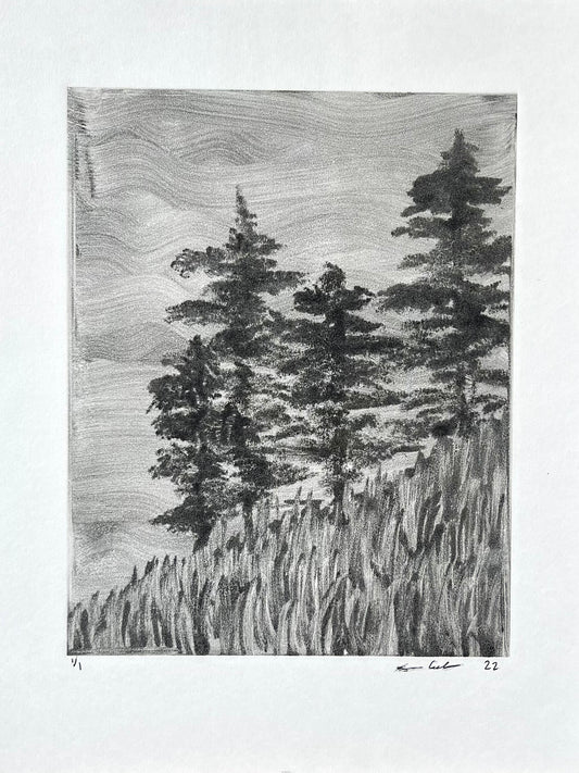 Hillside Trees