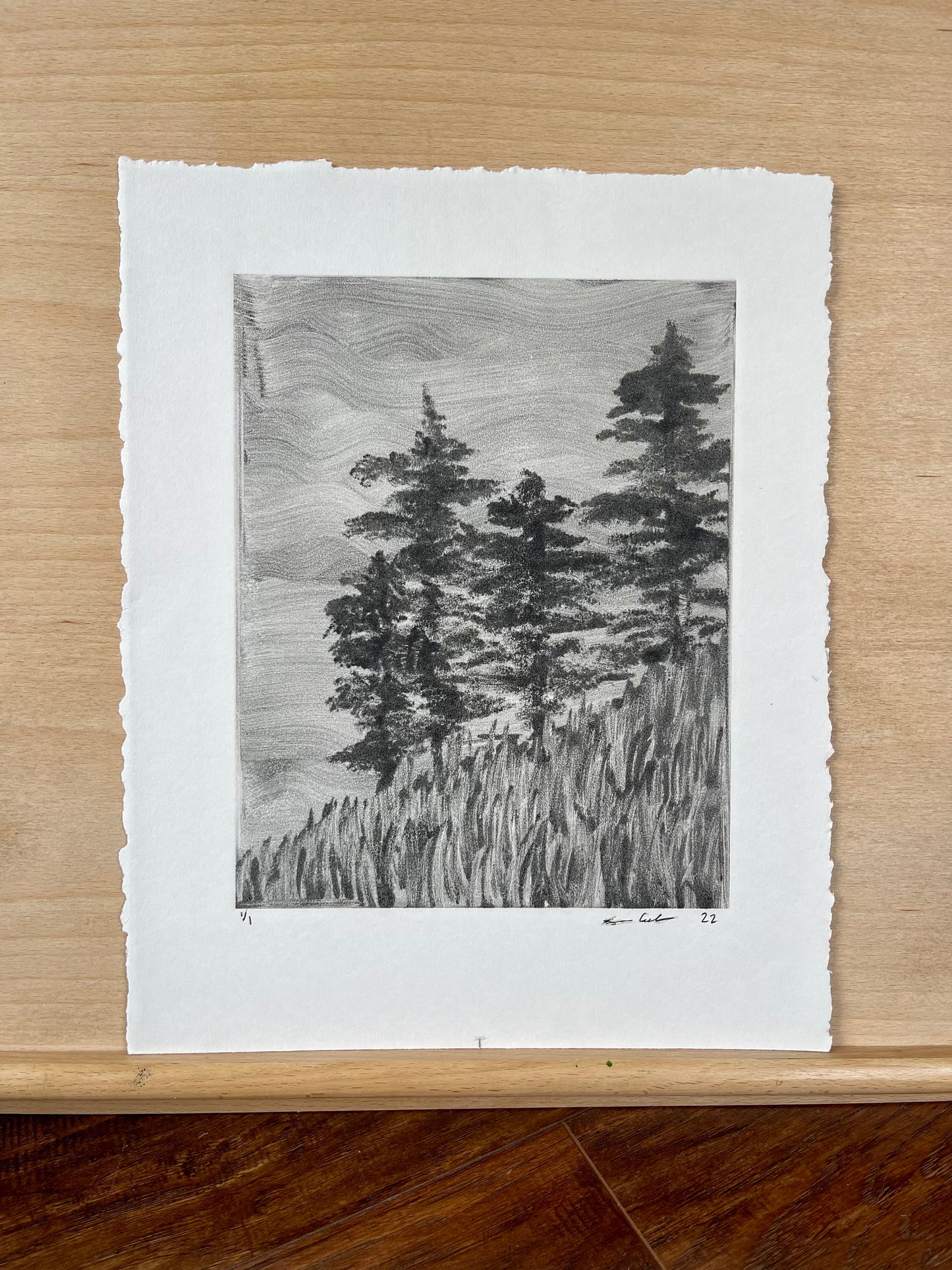 Hillside Trees