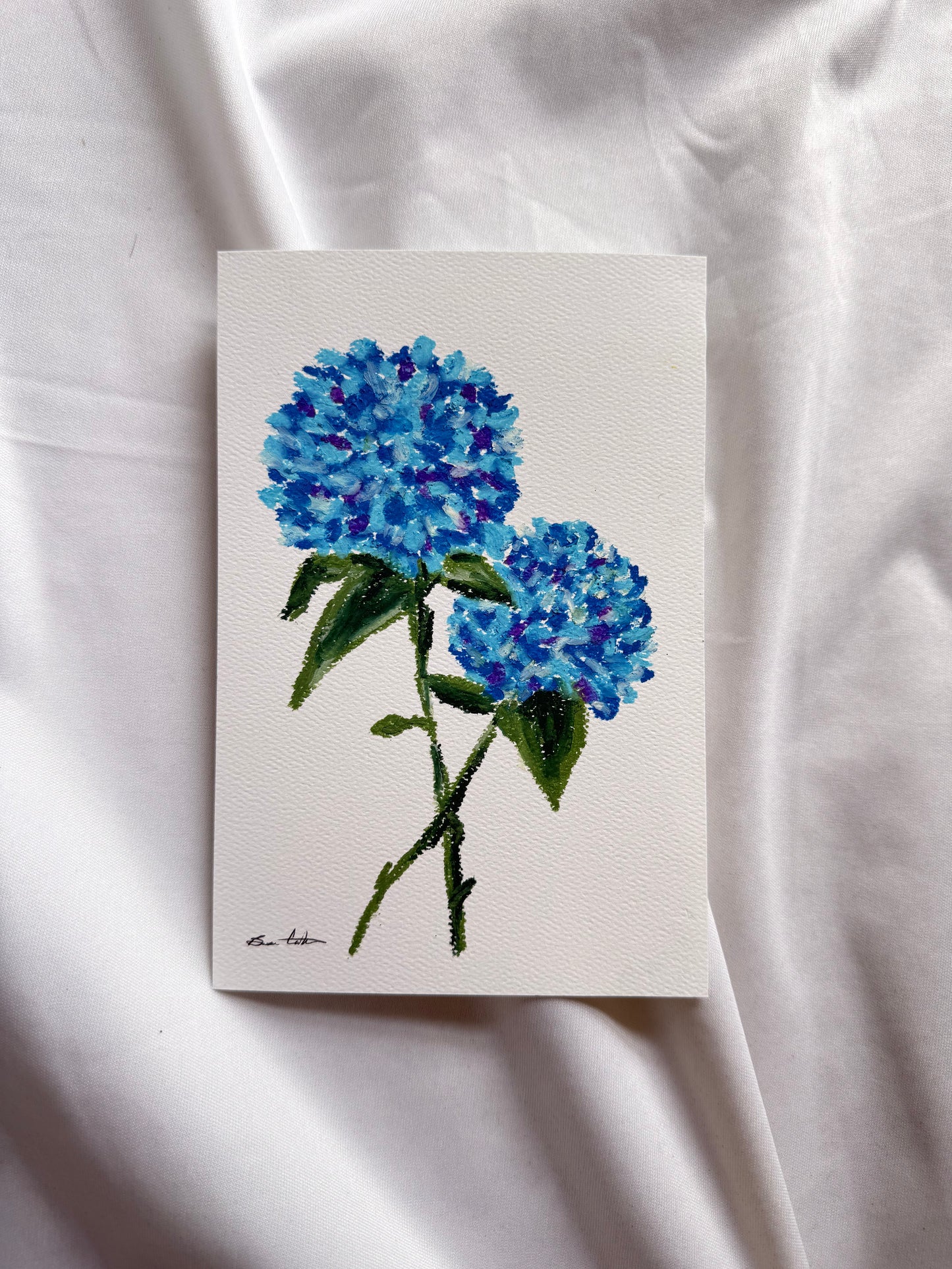 Blue Hydrangeas Oil Pastel Drawing