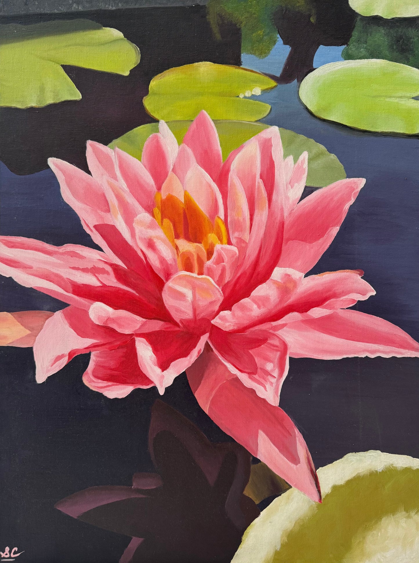 Waterlily Original Painting