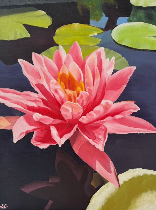 Waterlily Original Painting