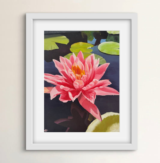 Waterlily Poster Print