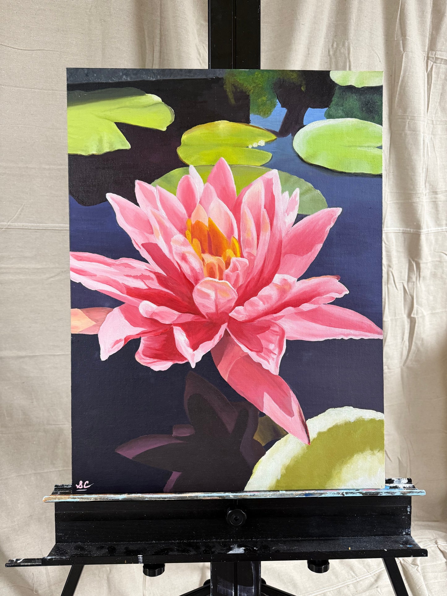 Waterlily Original Painting