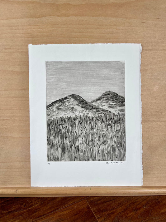 Mountain Field