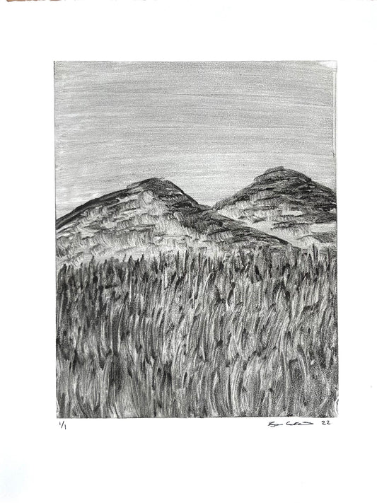Mountain Field