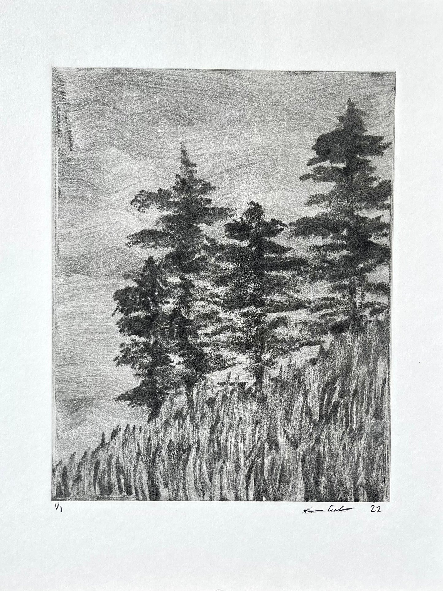 Hillside Trees